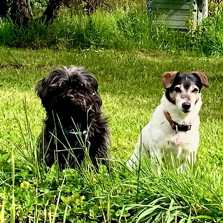 No 41 D Hotes كونفولين