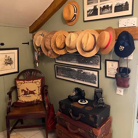 No 41 D Hotes كونفولين