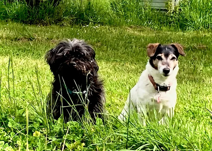 No 41 D Hotes Confolens