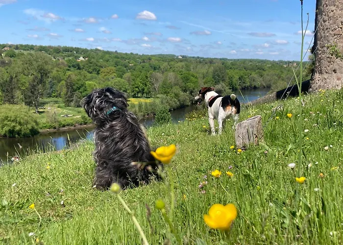 Couette-café No 41 D Hotes Confolens